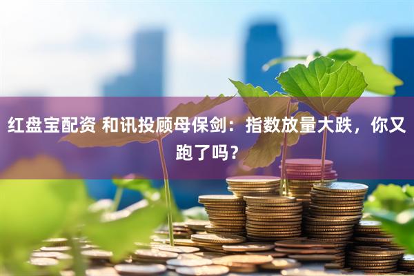 红盘宝配资 和讯投顾母保剑：指数放量大跌，你又跑了吗？